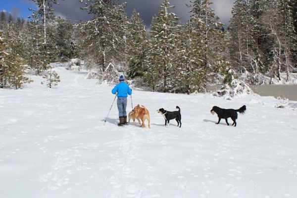 Snowshoes